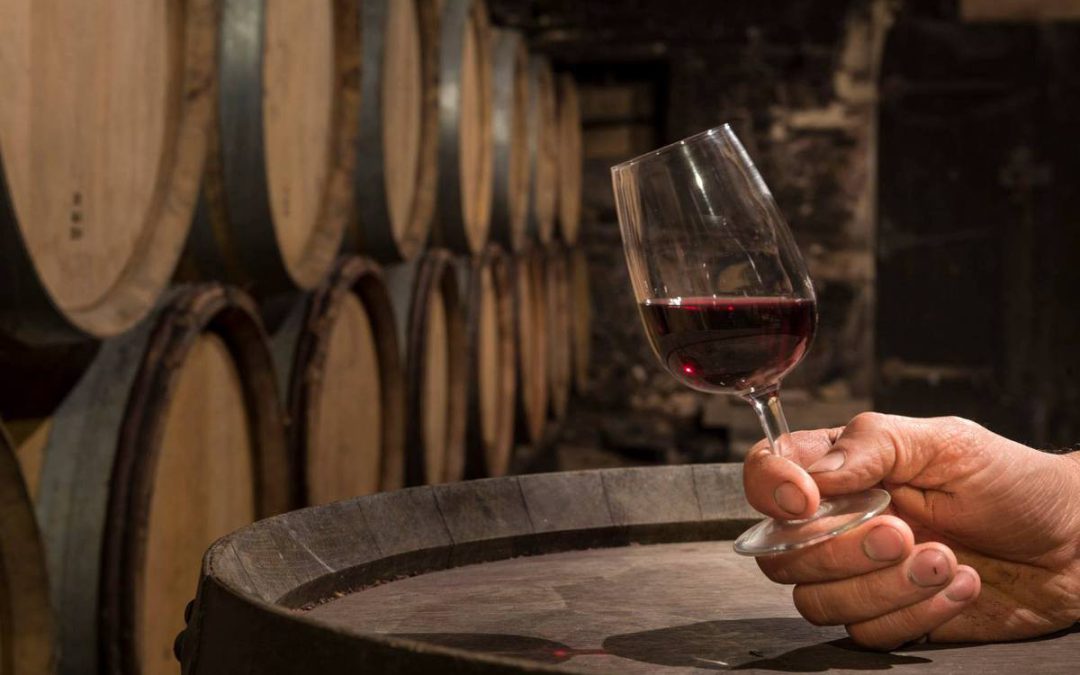 Beaujolais nouveau 2015